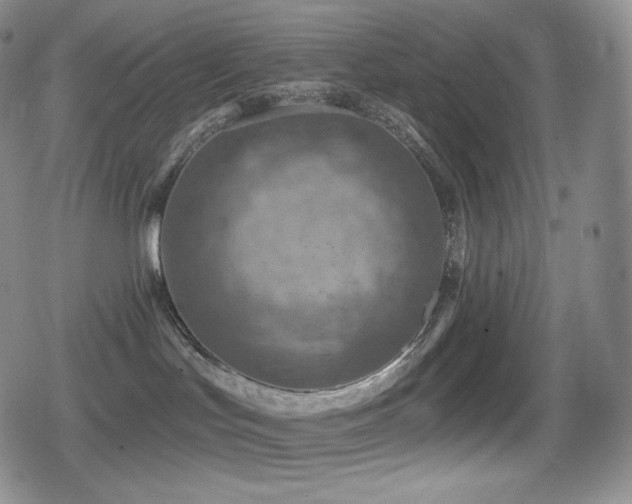 X0000080720047200612151210