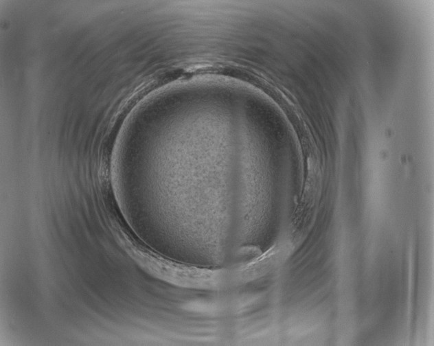 X0000080720048200612151210