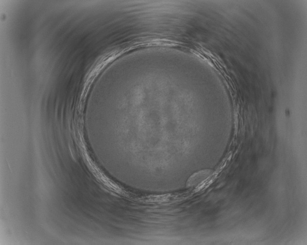 X0000080720049200612151209