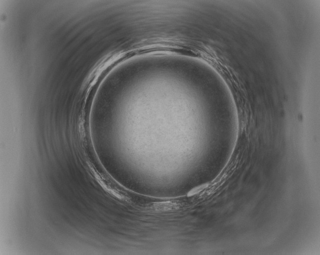 X0000080720050200612151209