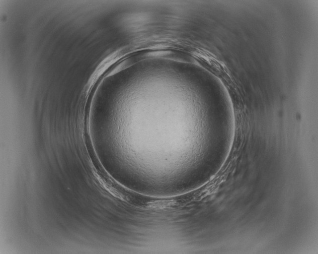 X0000080720051200612151209