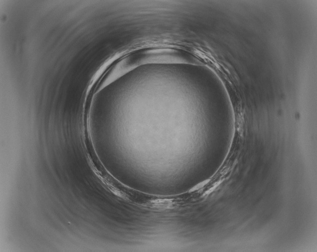 X0000080720052200612151209