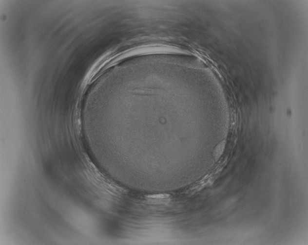 X0000080720053200612151209