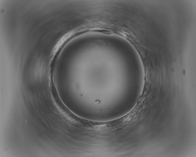 X0000080720054200612151209