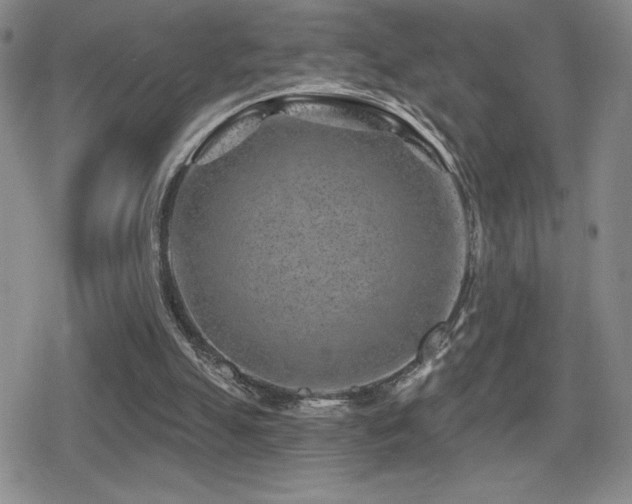 X0000080720055200612151209