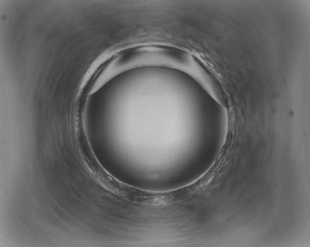 X0000080720056200612151209