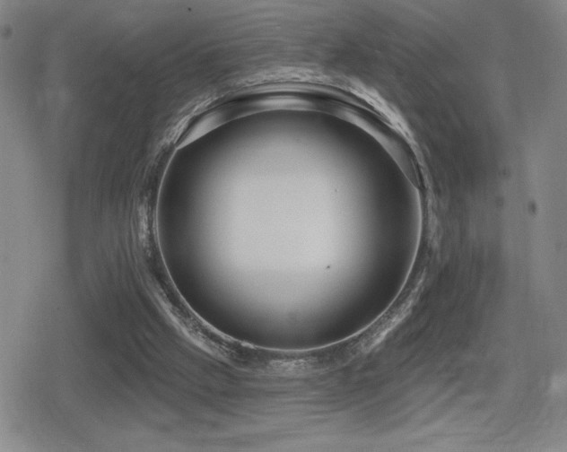 X0000080720057200612151209