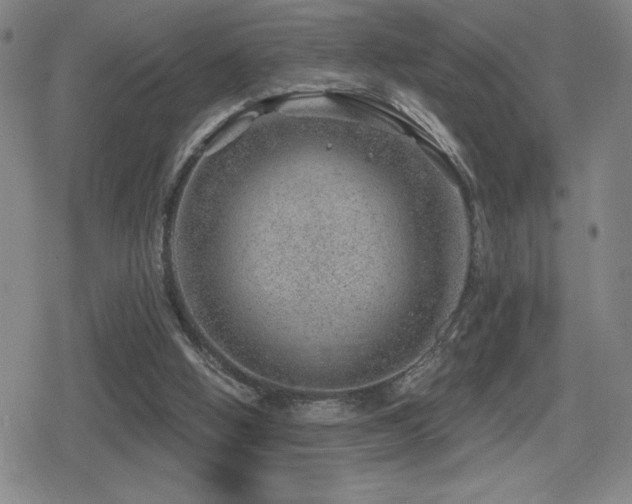 X0000080720058200612151209