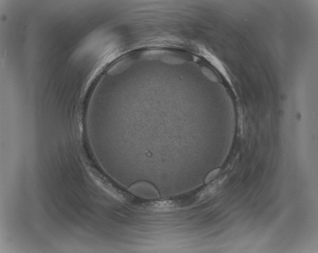 X0000080720059200612151209