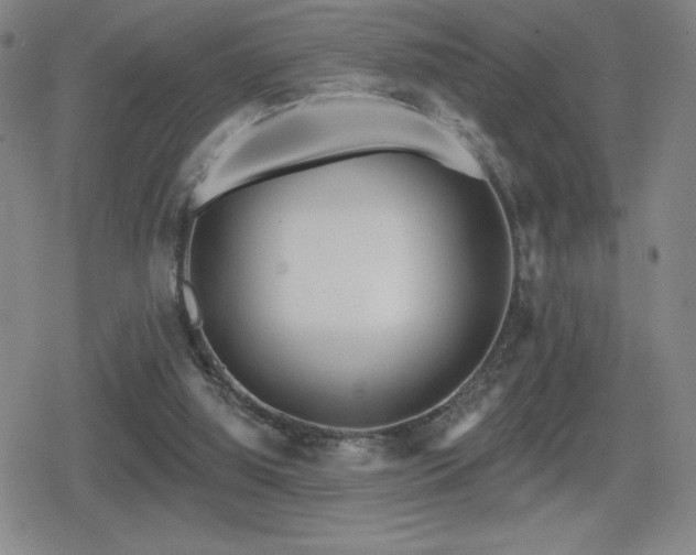 X0000080720060200612151209