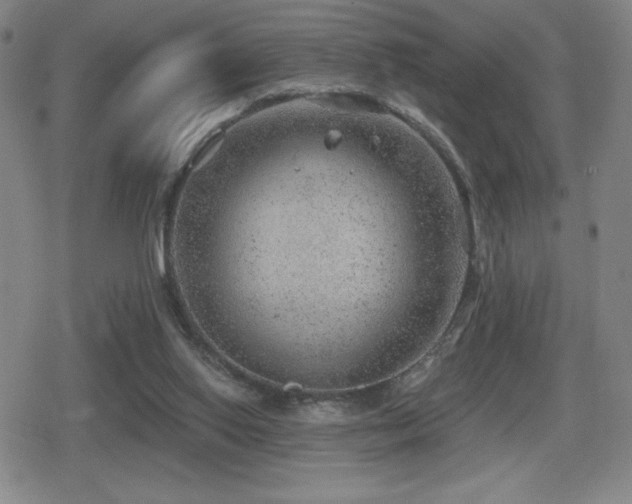 X0000080720062200612151209