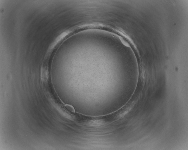 X0000080720063200612151209