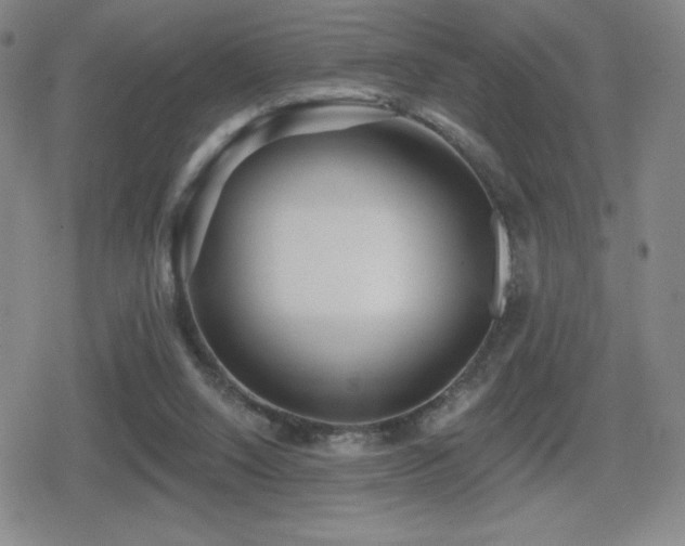 X0000080720064200612151209