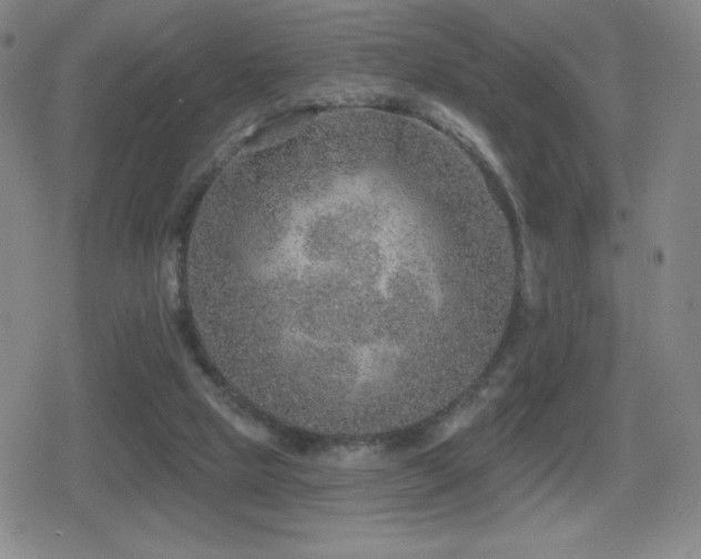 X0000080720065200612151209