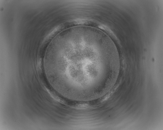 X0000080720066200612151209