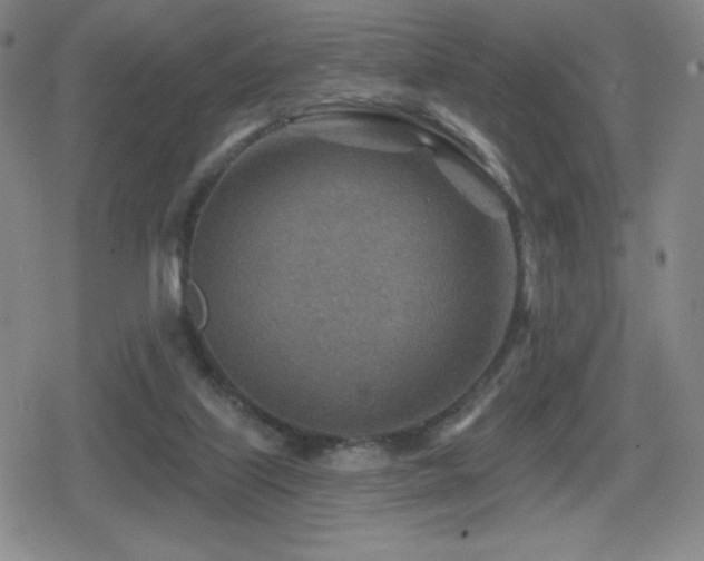 X0000080720067200612151209