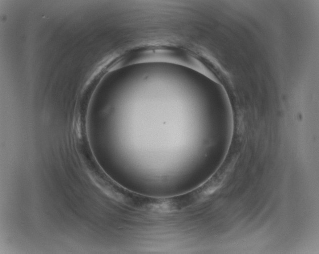 X0000080720068200612151209