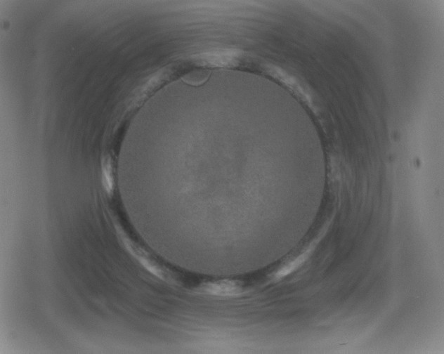 X0000080720069200612151209