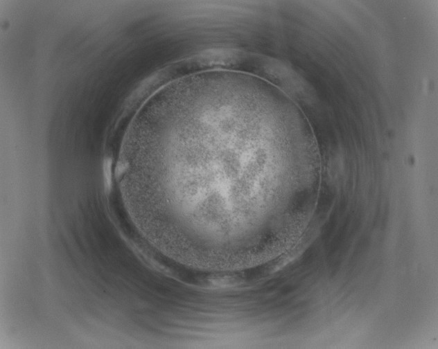 X0000080720070200612151209