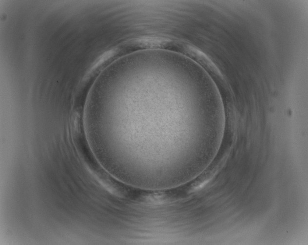 X0000080720071200612151209