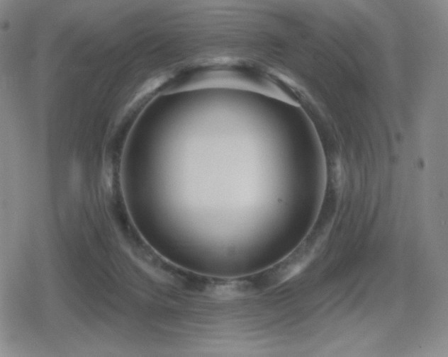 X0000080720072200612151209