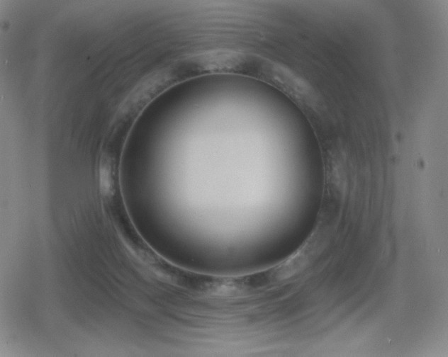 X0000080720074200612151209