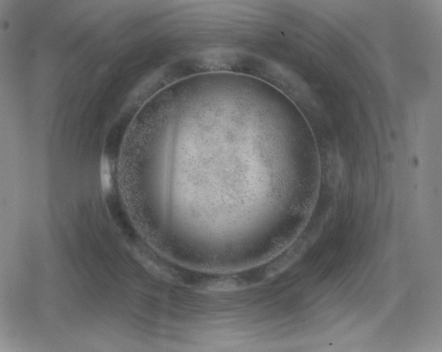 X0000080720075200612151209