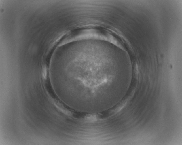 X0000080720076200612151209