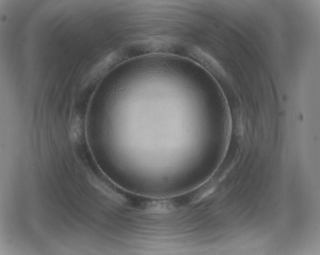 X0000080720077200612151209