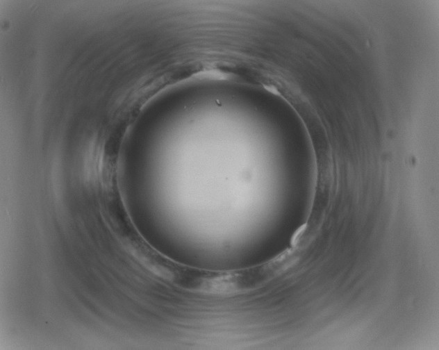 X0000080720078200612151209