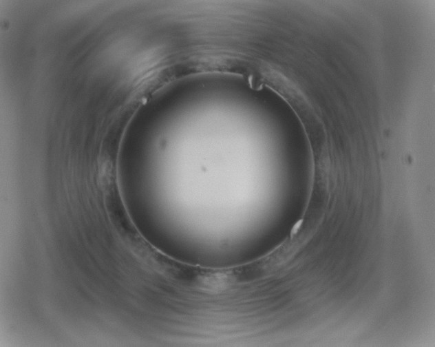 X0000080720079200612151209