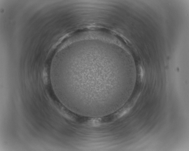 X0000080720080200612151209