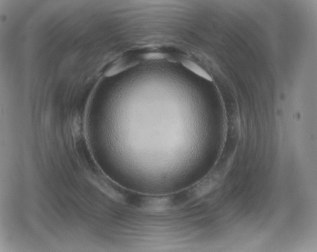 X0000080720081200612151209