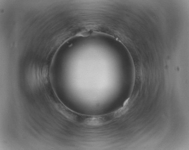 X0000080720082200612151209