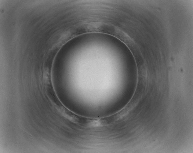 X0000080720083200612151209