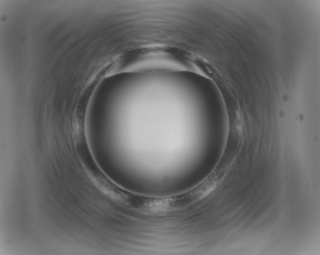 X0000080720084200612151209