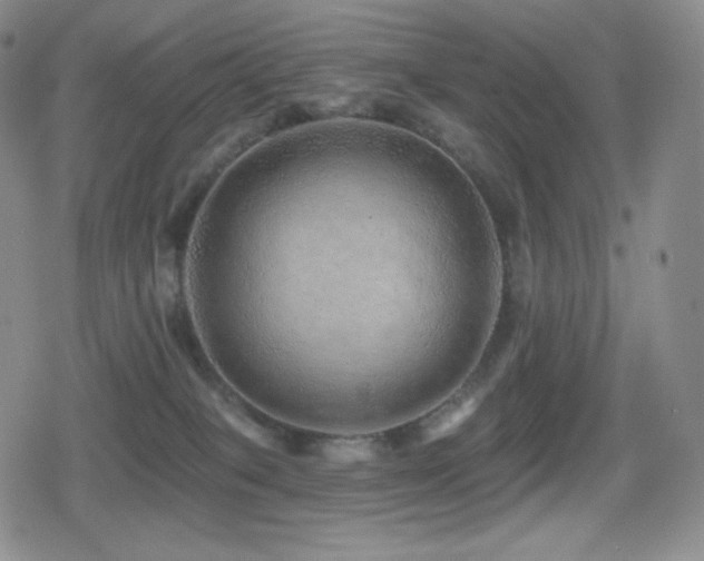 X0000080720085200612151209