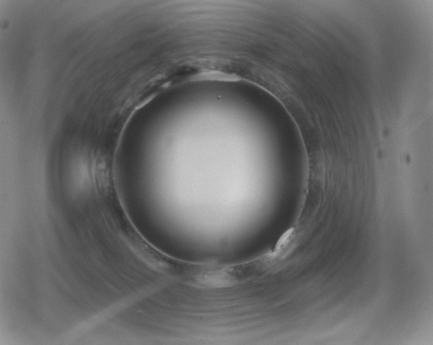 X0000080720086200612151209