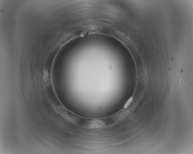 X0000080720087200612151209