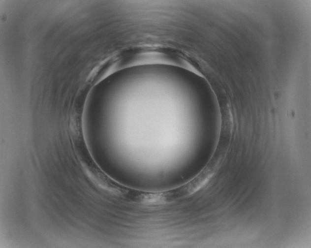 X0000080720088200612151209