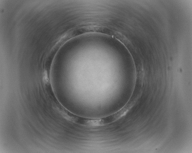 X0000080720089200612151210