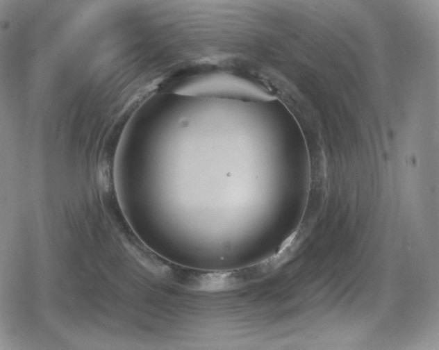 X0000080720090200612151210