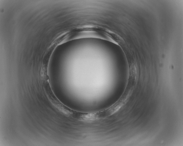 X0000080720092200612151210