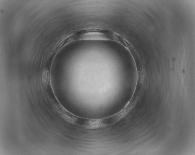 X0000080720093200612151210