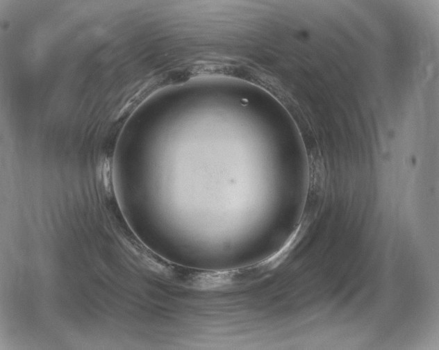 X0000080720094200612151210