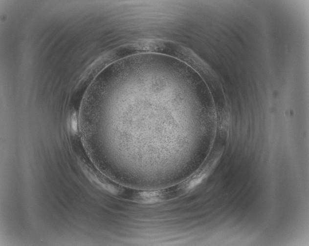 X0000080720095200612151210