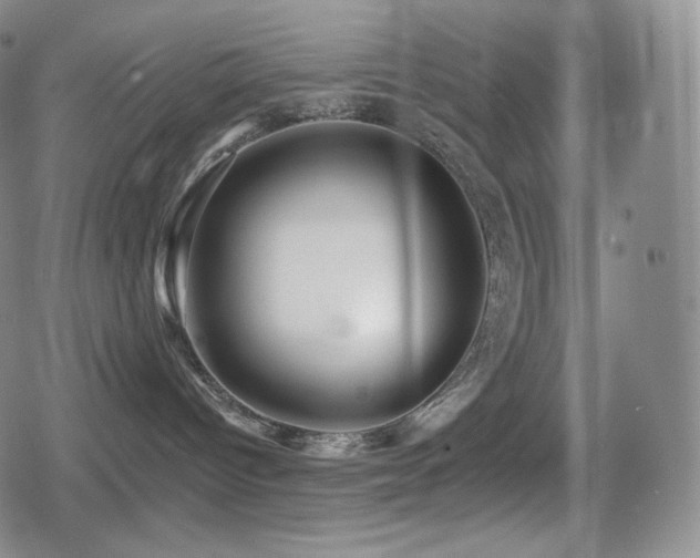 X0000080720096200612151210