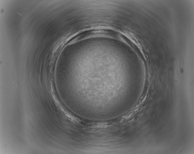 X0000080720097200612151209