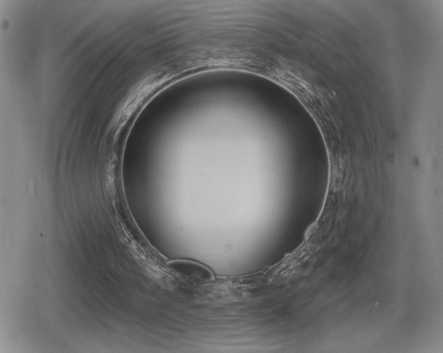 X0000080720098200612151209