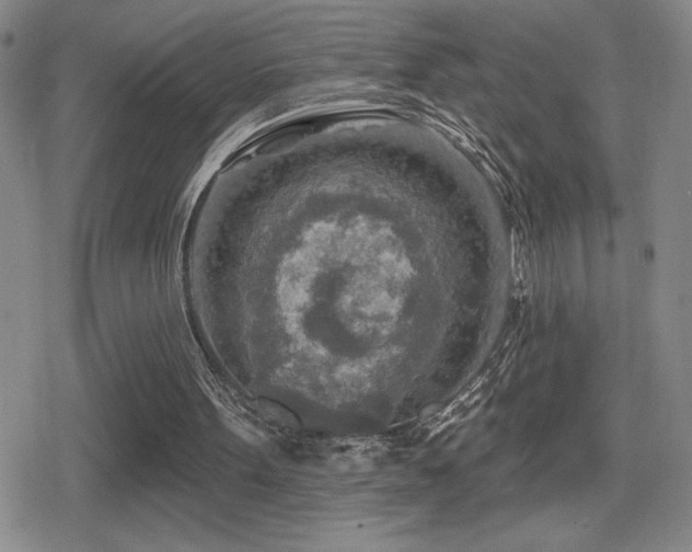 X0000080720099200612151209